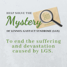 Help Solve the Mystery of LGS