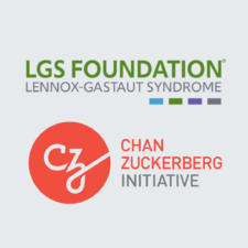 The LGS Foundation and the Chan Zuckerberg Initiative Rare As One Network