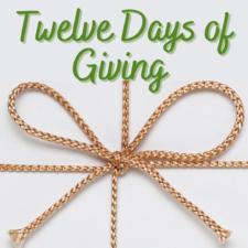 LGS Foundation’s 12 Days of Giving